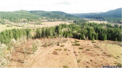 0 Gooseneck (Parcel #289476) Rd, Sheridan, OR 97378 - photo 6