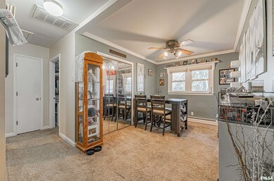 5 Sycamore Ln, Lincoln, IL 62656 - photo 5