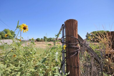 16512 E Pecos Rd Gilbert AZ (7)
