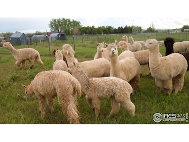 1203 S 112th St, Lafayette, CO 80026 - photo 3