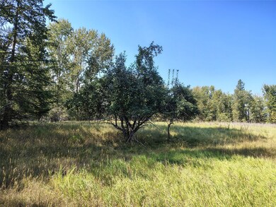 164 River Rd, Kalispell, MT 59901 - photo 4