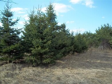Nice cleared lot , ready to build