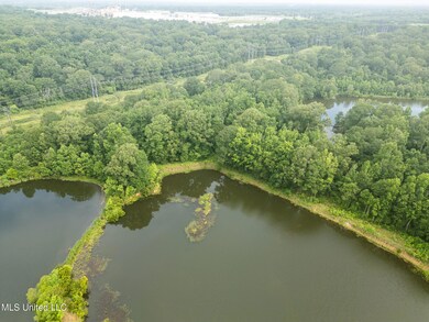 403 Mount Pleasant - Zachary Rd, Zachary, LA 70791 - photo 6