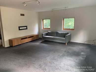 8 Jefferson Ct, Ann Arbor, MI 48103 - photo 4