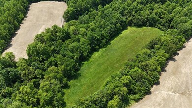 food plot