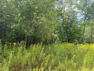 Lot 14 Dead River Rd, West Bowdoin, ME 04287 - photo 3