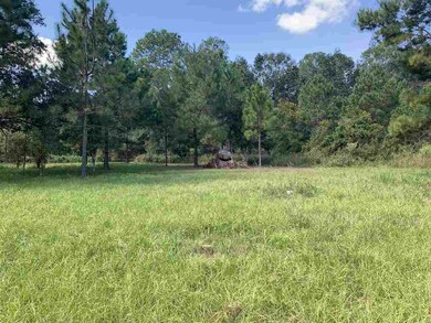 0 Lost Creek Ln, Crawfordville, FL 32327 - photo 4