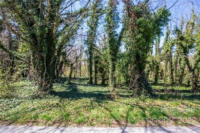 111 Carolina Village, Hendersonville, NC 28792 - photo 3