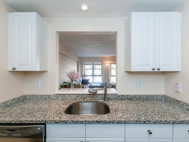 931 Mass Ave unit 501, Cambridge, MA 02139 - photo 3