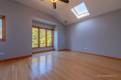 741 S Claremont Ave unit 3, Chicago, IL 60612 - photo 4