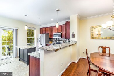 25141 Shultz Terrace, Chantilly, VA 20152 - photo 6