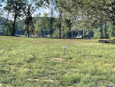 2790 Lake Forest Ct, Southside, AL 35907 - photo 5