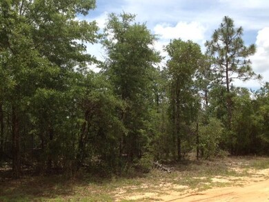 Wooded One Acre Lot