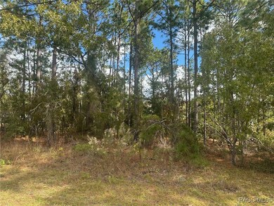 7779 N Cricket Dr, Citrus Springs, FL 34434 - photo 4