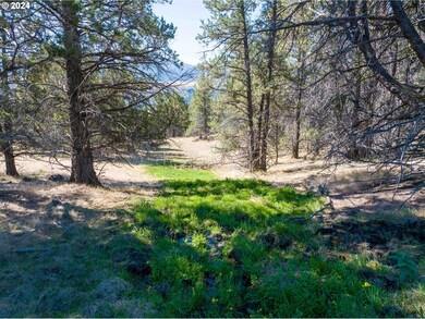 0 Davis Creek Rd unit 22199563, John Day, OR 97845 - photo 7
