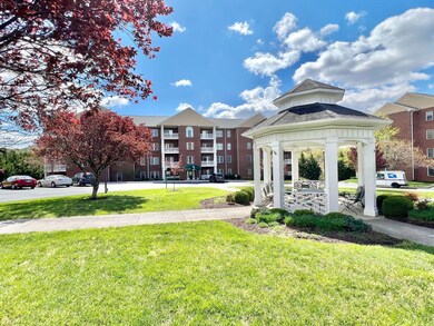 One level living