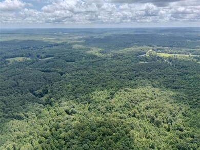 0 Cross Roads Church Rd unit 7629947, Buchanan, GA 30113 - photo 5