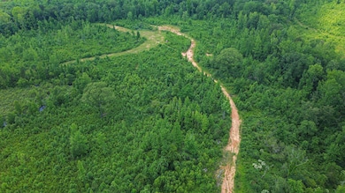 DJI_0976