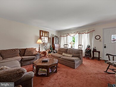 917 Beechwood Ave, Darby, PA 19023 - photo 5