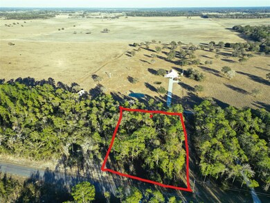 LOT 24 SW Timberlake Rd, Dunnellon, FL 34431 - photo 2