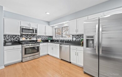 1143 Pine St, Batavia, IL 60510 - photo 6