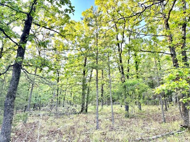 0 Ln, Heavener, OK 74937 - photo 6