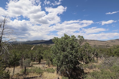 000 Trailer Rd unit 23, Timberon, NM 88350 - photo 2