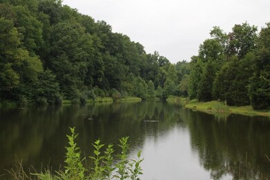 Community Fishing Pond