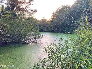 2035 Schultz Rd, Iota, LA 70543 - photo 3