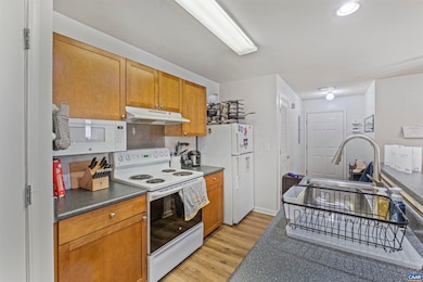 235 Yellowstone Dr unit 103, Charlottesville, VA 22903 - photo 4