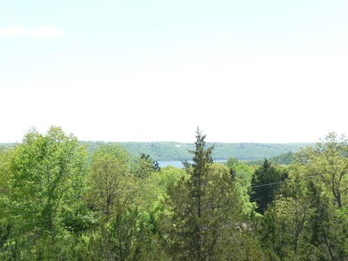 Tbd Elm St, Ruth B Rural Township, MO 65686 - photo 6