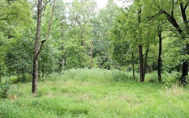Additional View