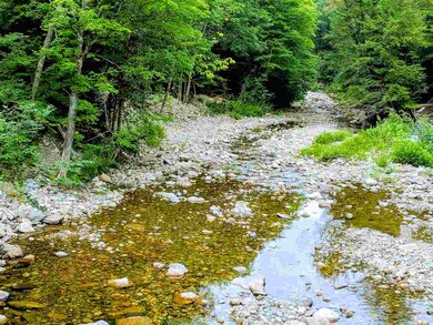 0 Goddard unit 2 4764651, Groton, NH 03241 - photo 4