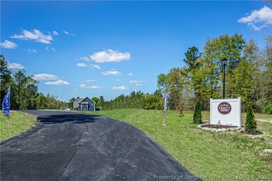 433 Trinity Gardens Ln, Linden, NC 28356 - photo 4