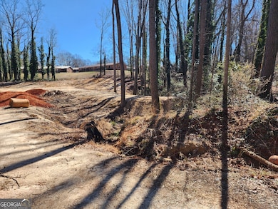 8A Forest Creek Cir, Hartwell, GA 30643 - photo 7