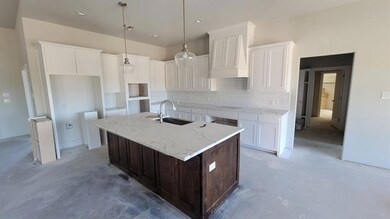 4036 Overlook Way, Weatherford, TX 76085 - photo 7