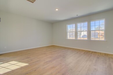 411 American Goldfinch Way, Moncks Corner, SC 29461 - photo 6