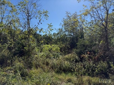 0 Deer View Rd, Gretna, VA 24557 - photo 6