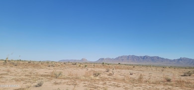 0000 Purple Sage Rd SW, Deming, NM 88030 - photo 3