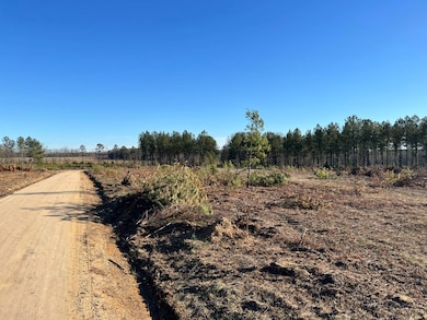 --1 Irving Rd, Batesburg-Leesville, SC 29006 - photo 2