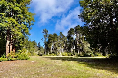 unlisted-address, Mendocino, CA 95460 - photo 4