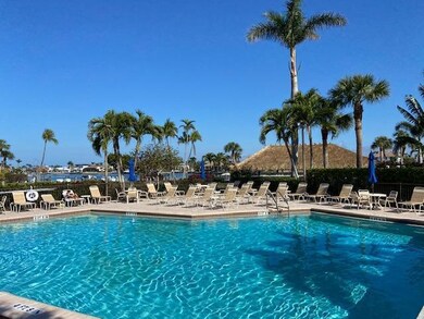 South Seas Building A Pool First Pic