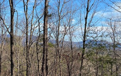 Additional View