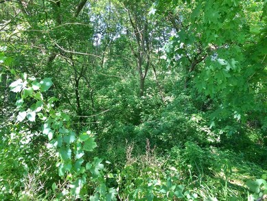 36 County Road 1835 N, Princeton, IL 61356 - photo 5