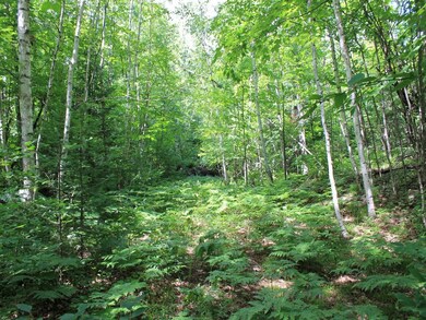 ON Tower Ridge Rd, Mercer, WI 54547 - photo 6