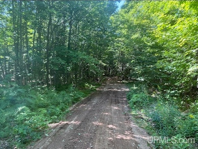 94 +/- Acres Peter White Rd, Deerton, MI 49822 - photo 7