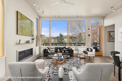 103 Willits Way unit 204, Basalt, CO 81621 - photo 3