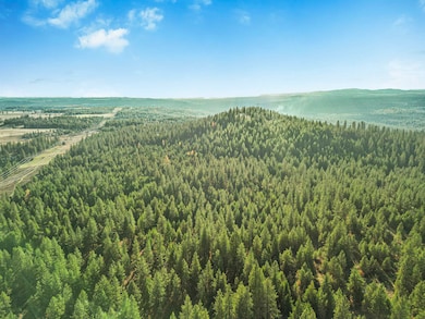 XXX N Waldrons Ln, Chattaroy, WA 99003 - photo 3