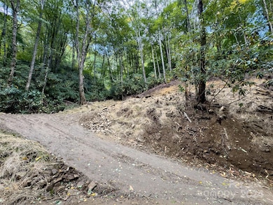 Lot 59 Black Rock Rd unit 59, Cherokee, NC 28719 - photo 7