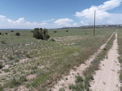 DJI_20250609113317_0037_D copy